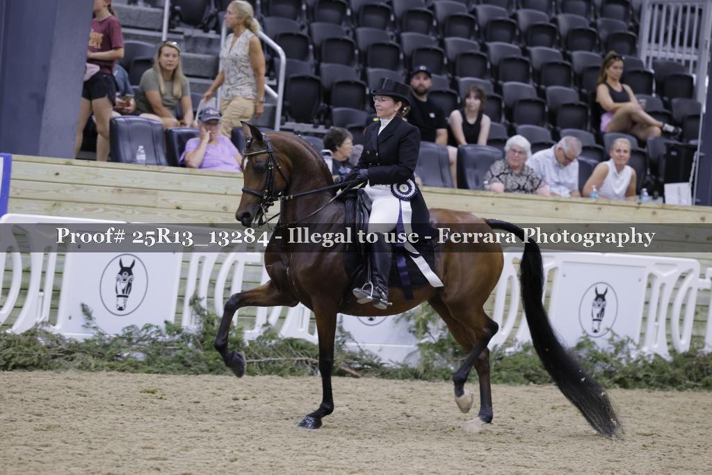 Proof 25R13_13284