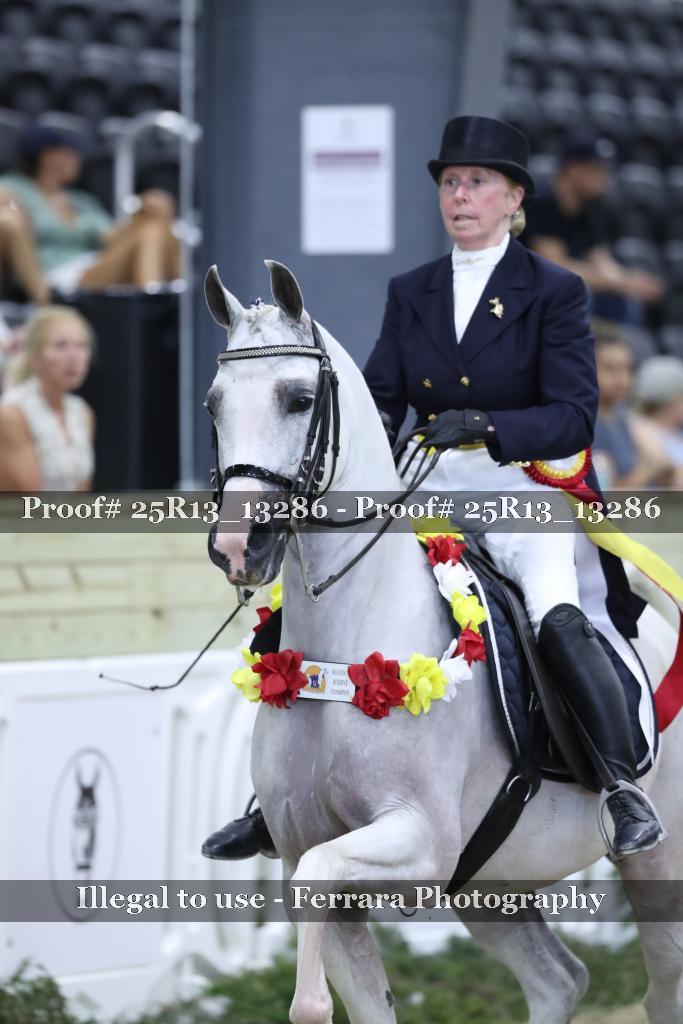 Proof 25R13_13286