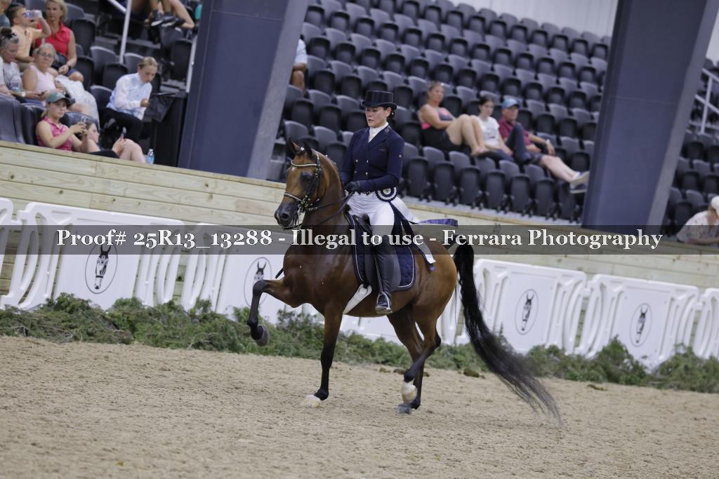 Proof 25R13_13288