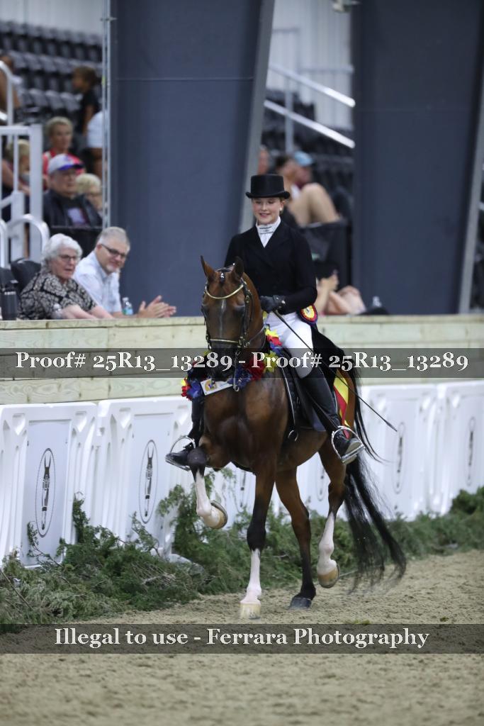 Proof 25R13_13289