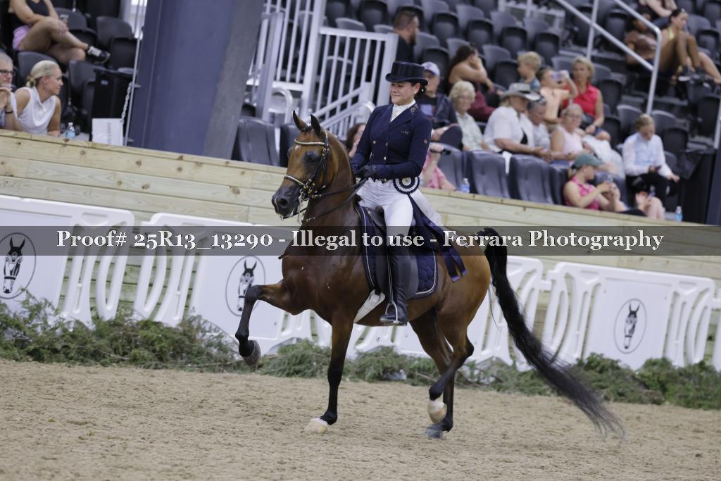 Proof 25R13_13290