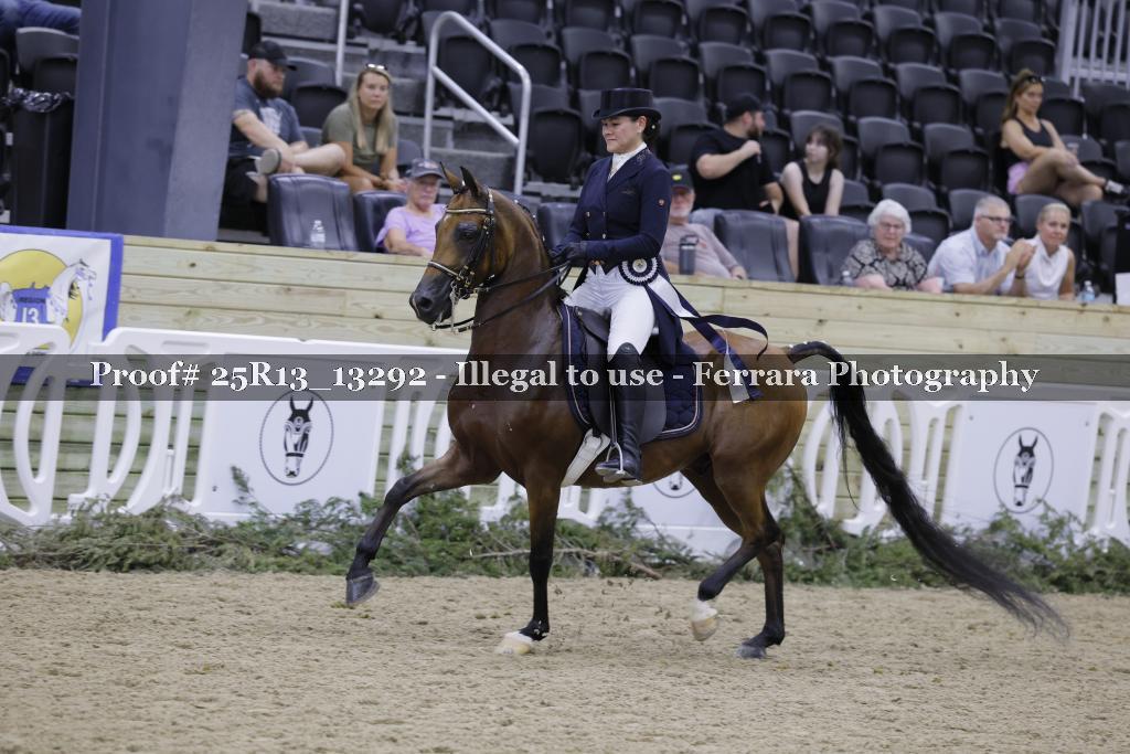 Proof 25R13_13292