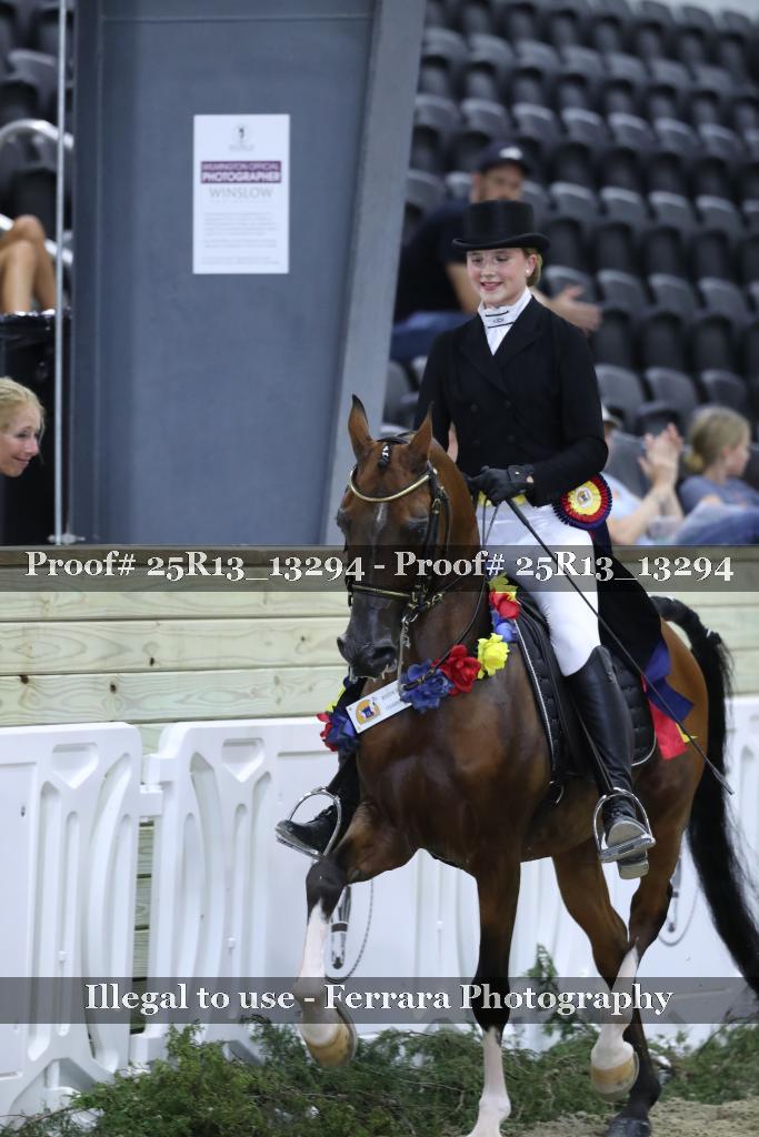 Proof 25R13_13294