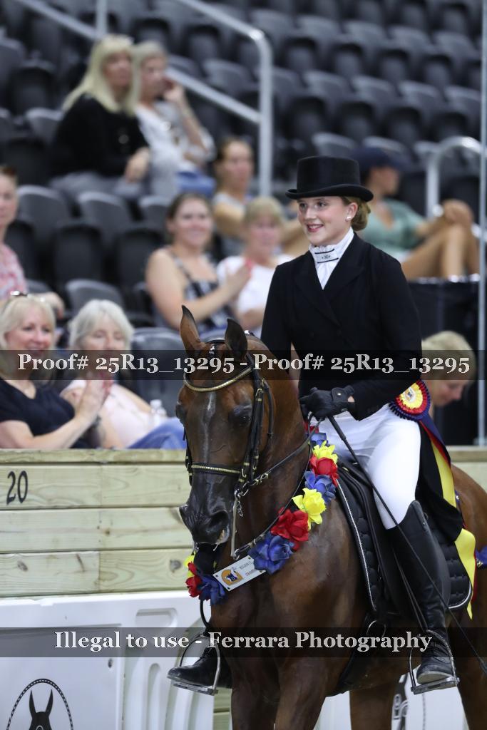 Proof 25R13_13295