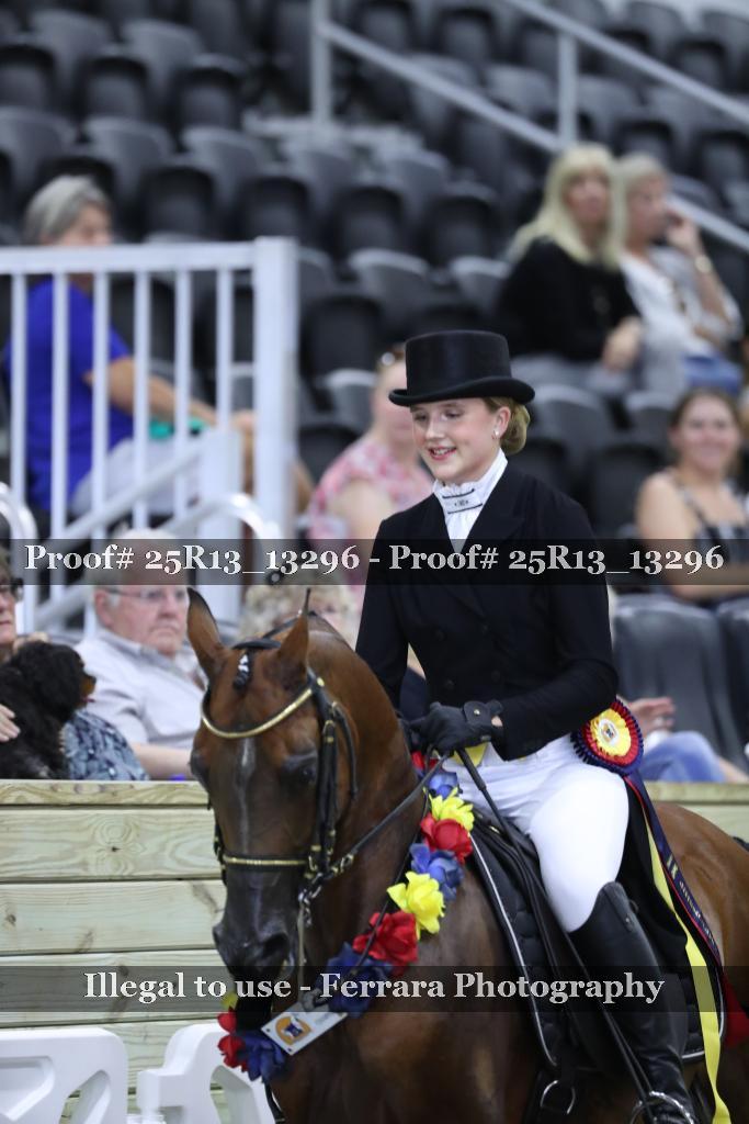 Proof 25R13_13296