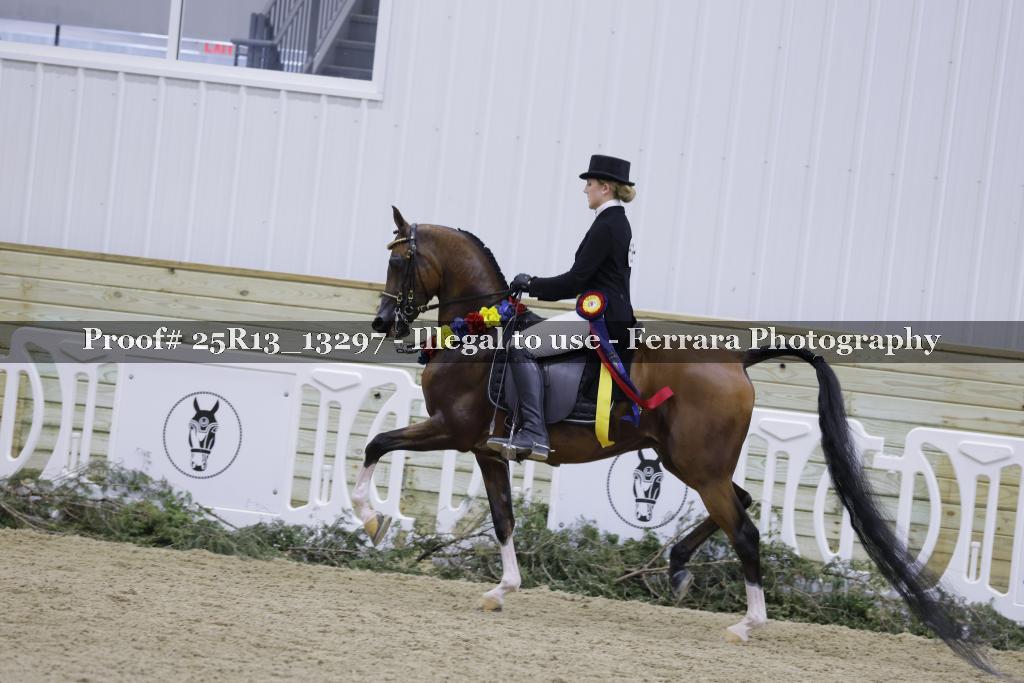 Proof 25R13_13297