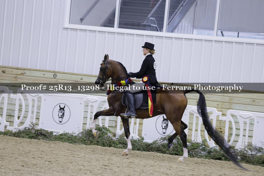 Proof 25R13_13298