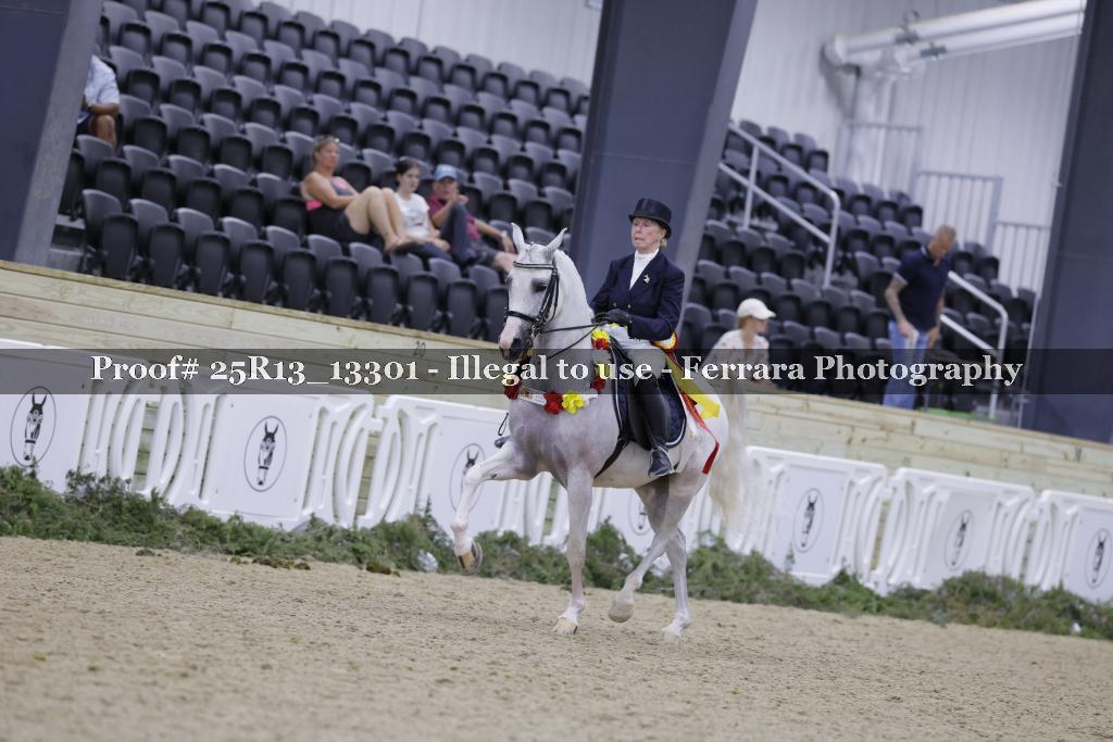 Proof 25R13_13301