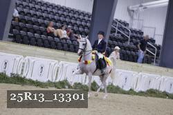 25R13_13301 proof