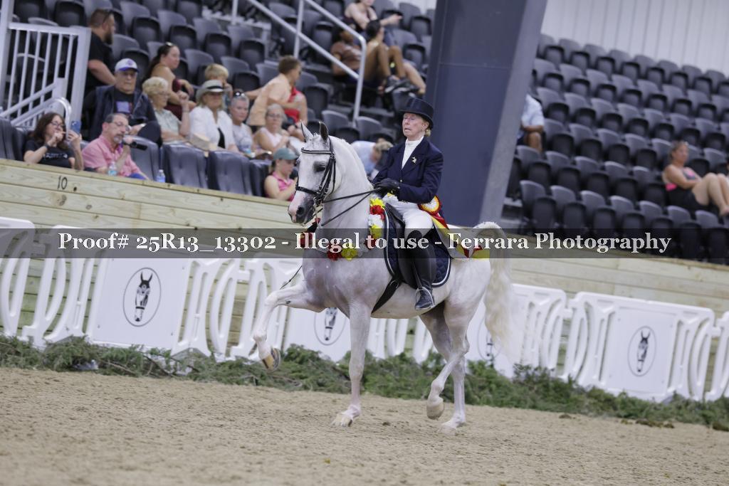 Proof 25R13_13302