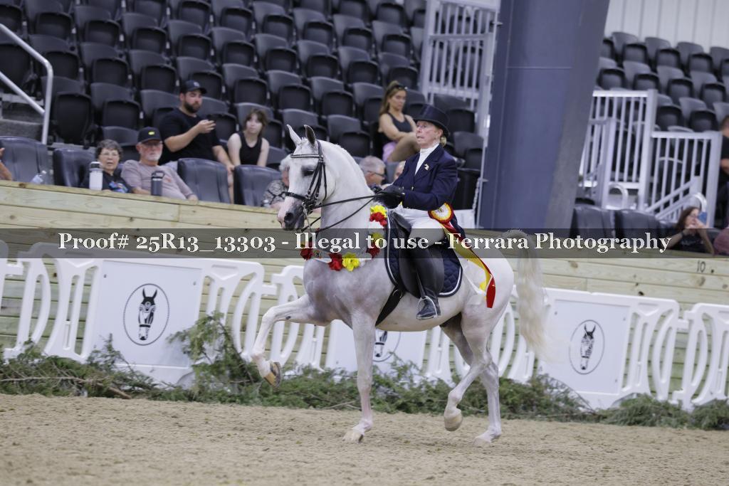 Proof 25R13_13303