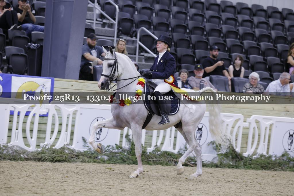 Proof 25R13_13304