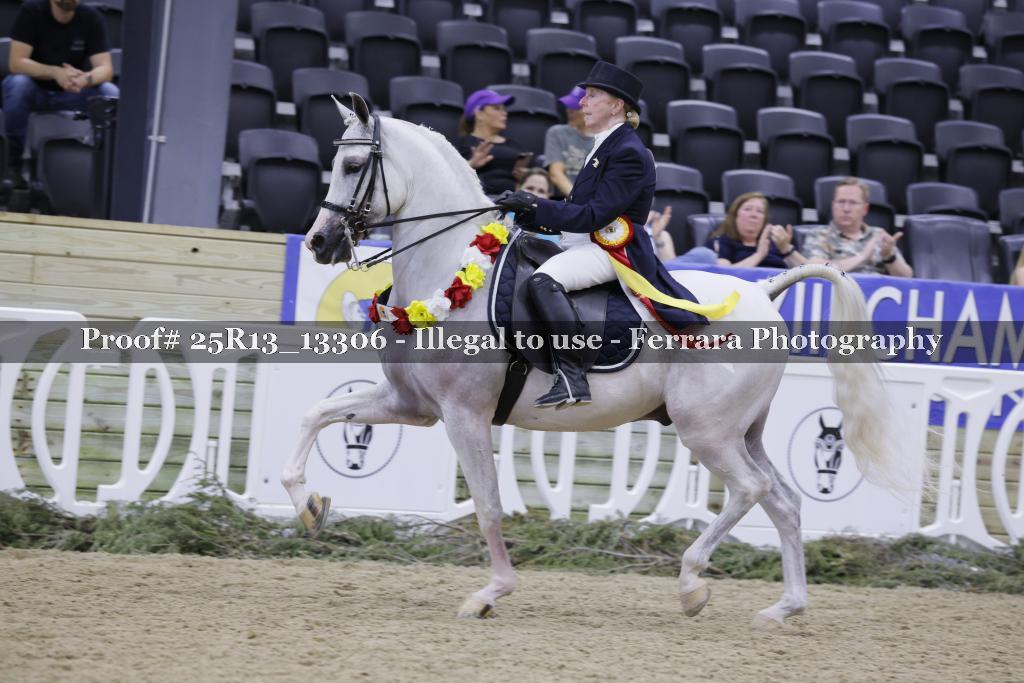 Proof 25R13_13306