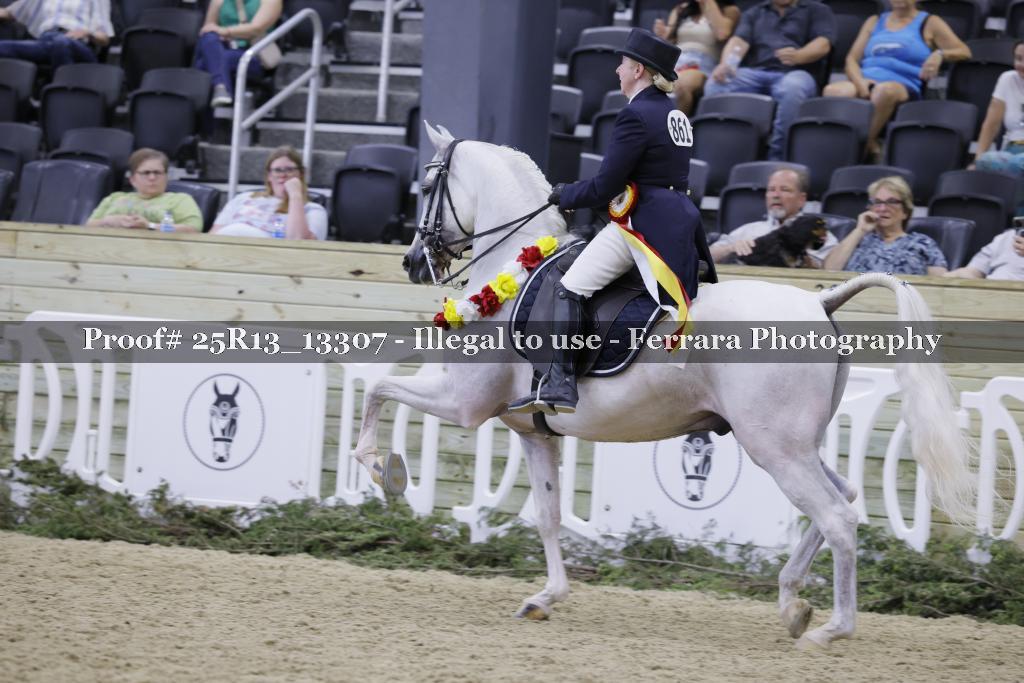 Proof 25R13_13307
