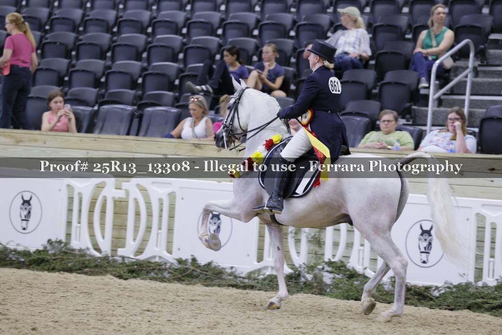 Proof 25R13_13308