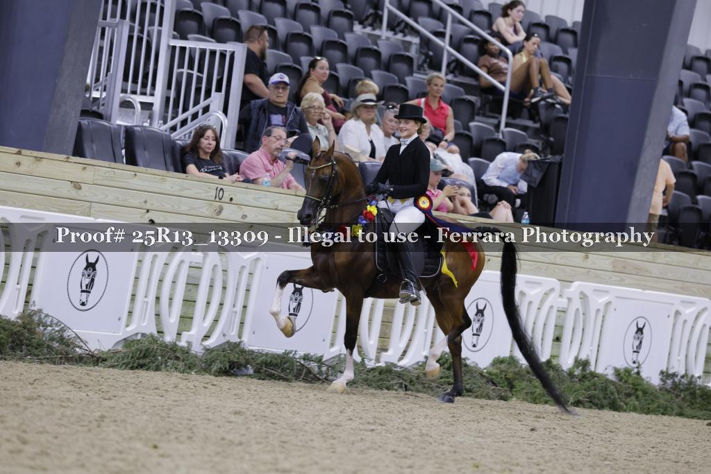 Proof 25R13_13309