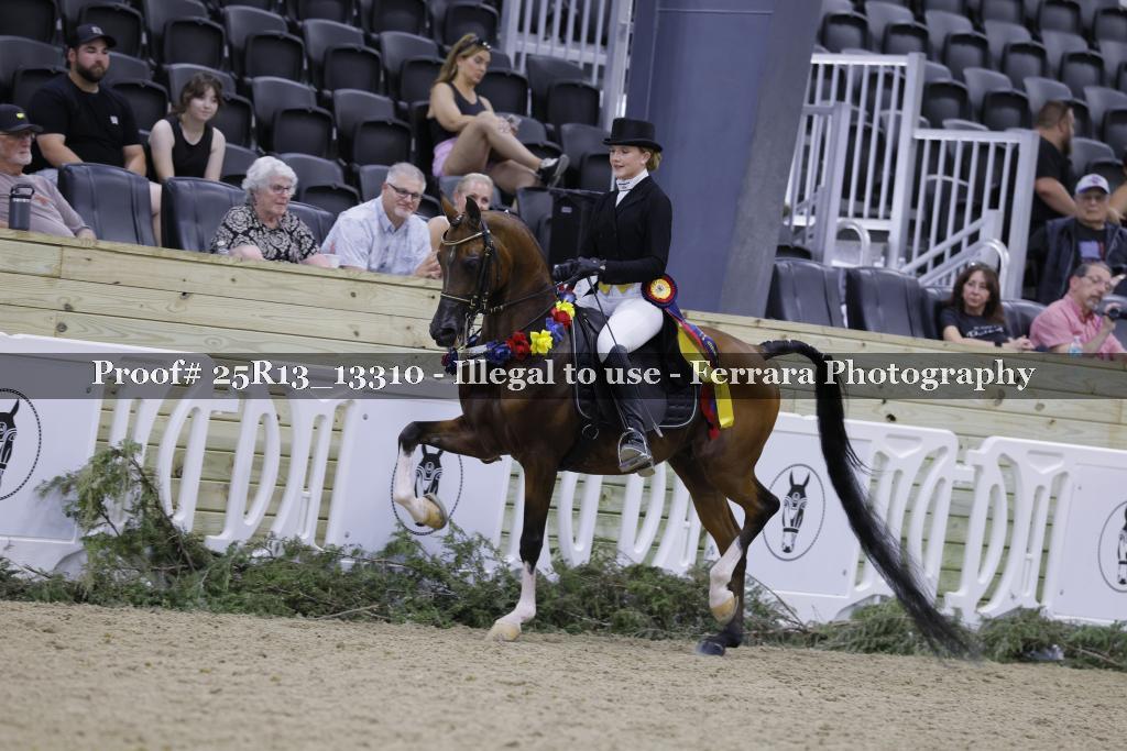 Proof 25R13_13310