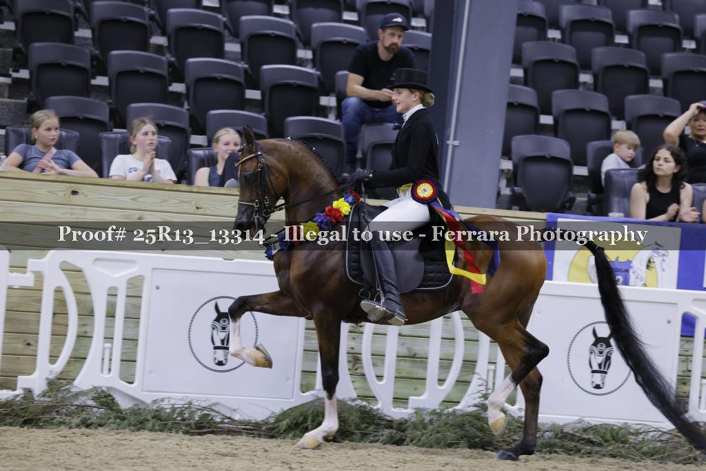 Proof 25R13_13314