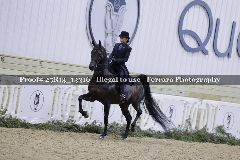 Proof 25R13_13316