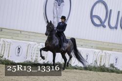 25R13_13316 proof