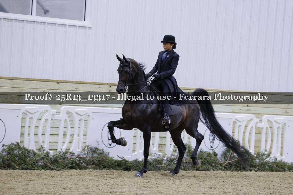 Proof 25R13_13317