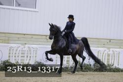 25R13_13317 proof