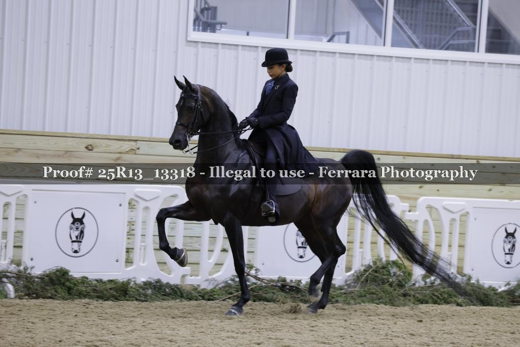 Proof 25R13_13318