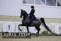 25R13_13318 proof