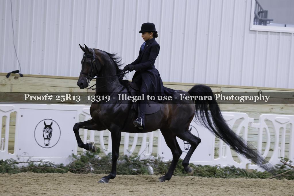 Proof 25R13_13319