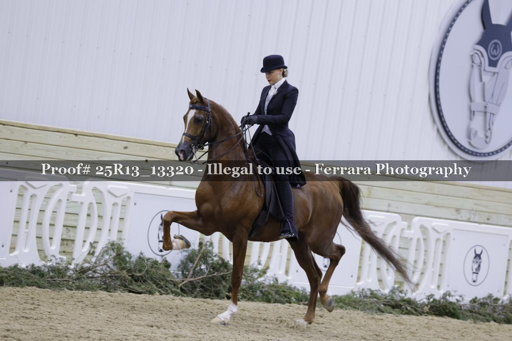 Proof 25R13_13320