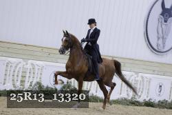 25R13_13320 proof