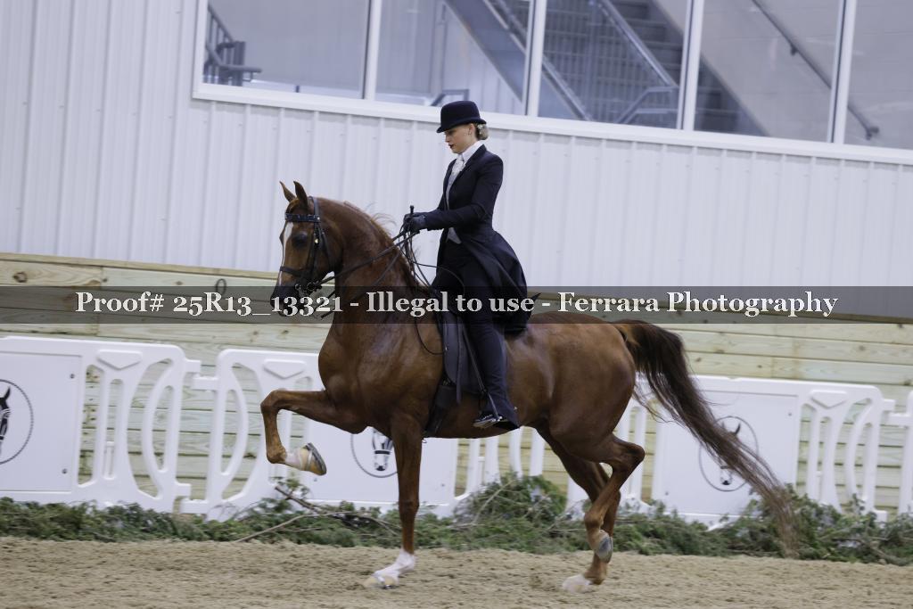 Proof 25R13_13321