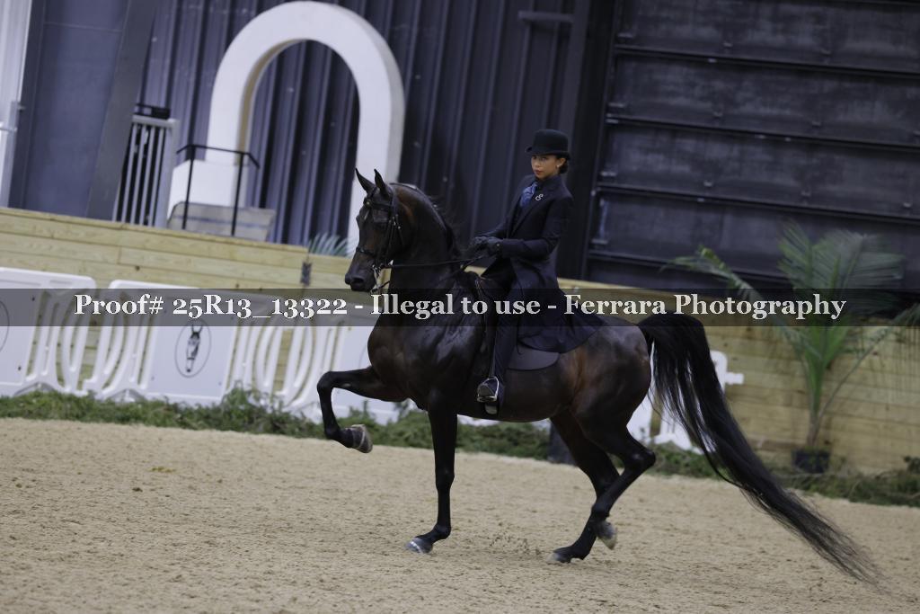 Proof 25R13_13322