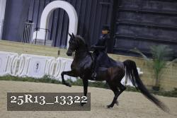 25R13_13322 proof