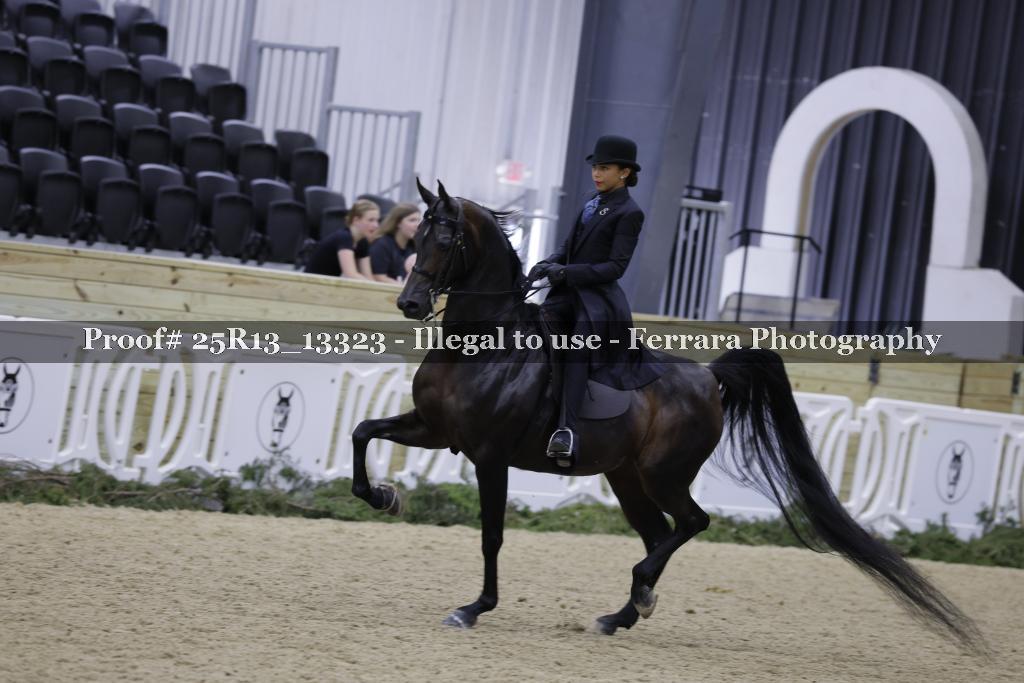 Proof 25R13_13323