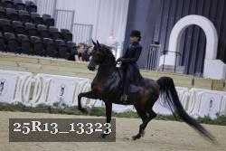 25R13_13323 proof
