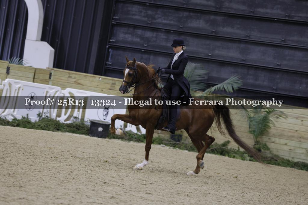 Proof 25R13_13324