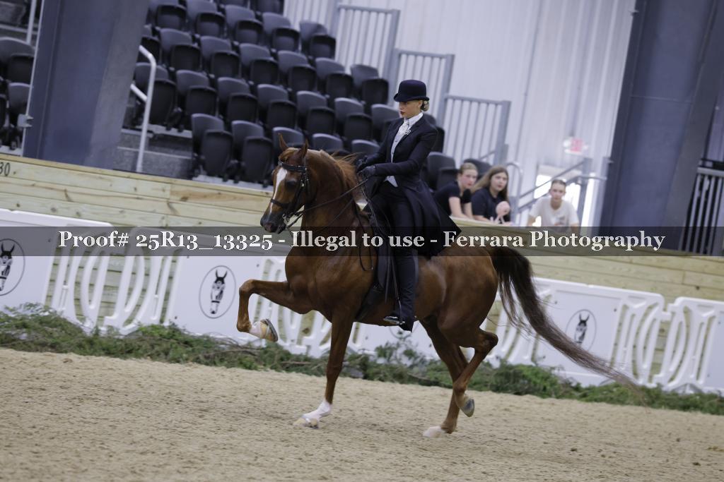 Proof 25R13_13325