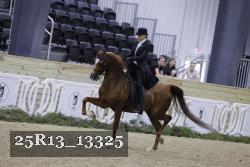 25R13_13325 proof