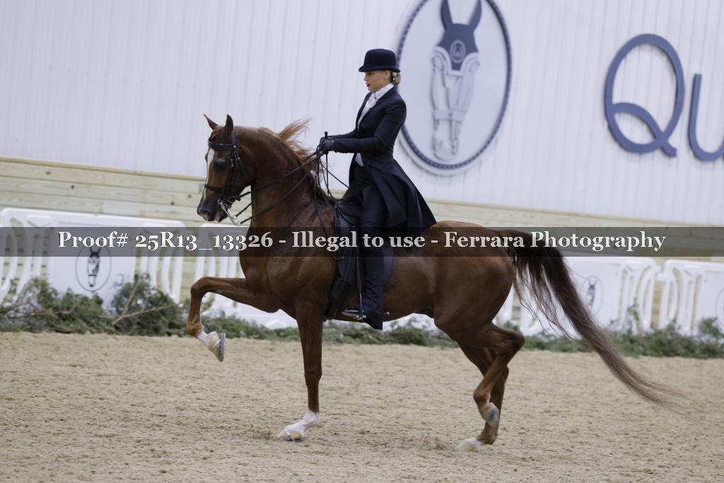 Proof 25R13_13326