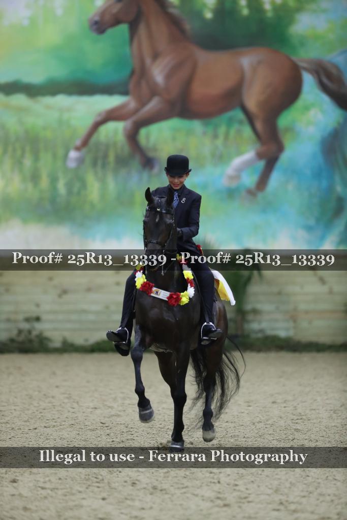 Proof 25R13_13339