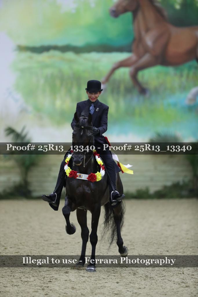 Proof 25R13_13340
