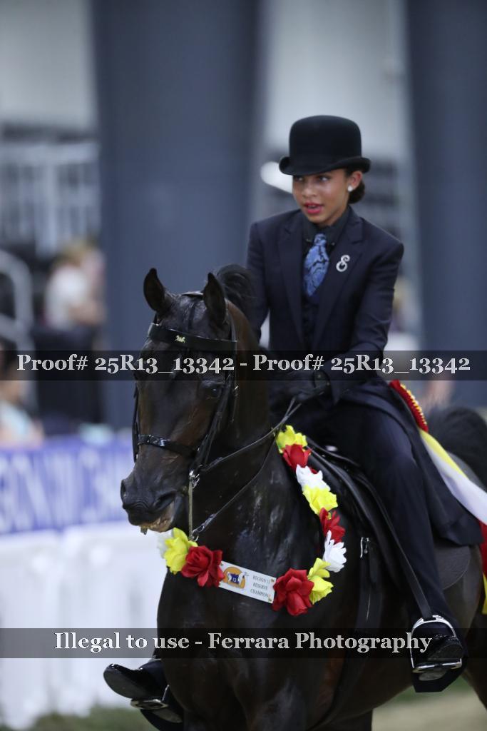 Proof 25R13_13342