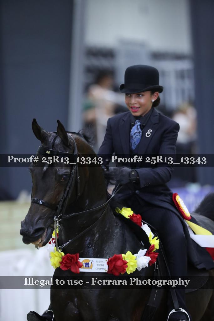 Proof 25R13_13343