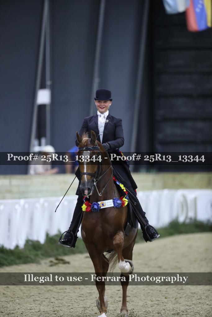 Proof 25R13_13344