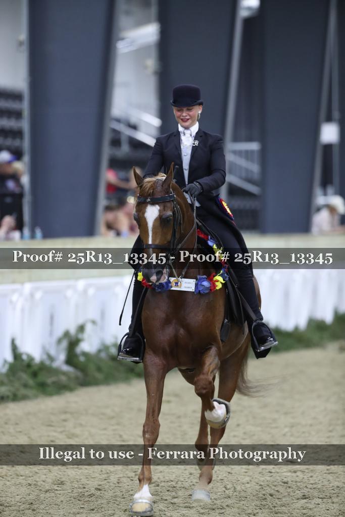 Proof 25R13_13345