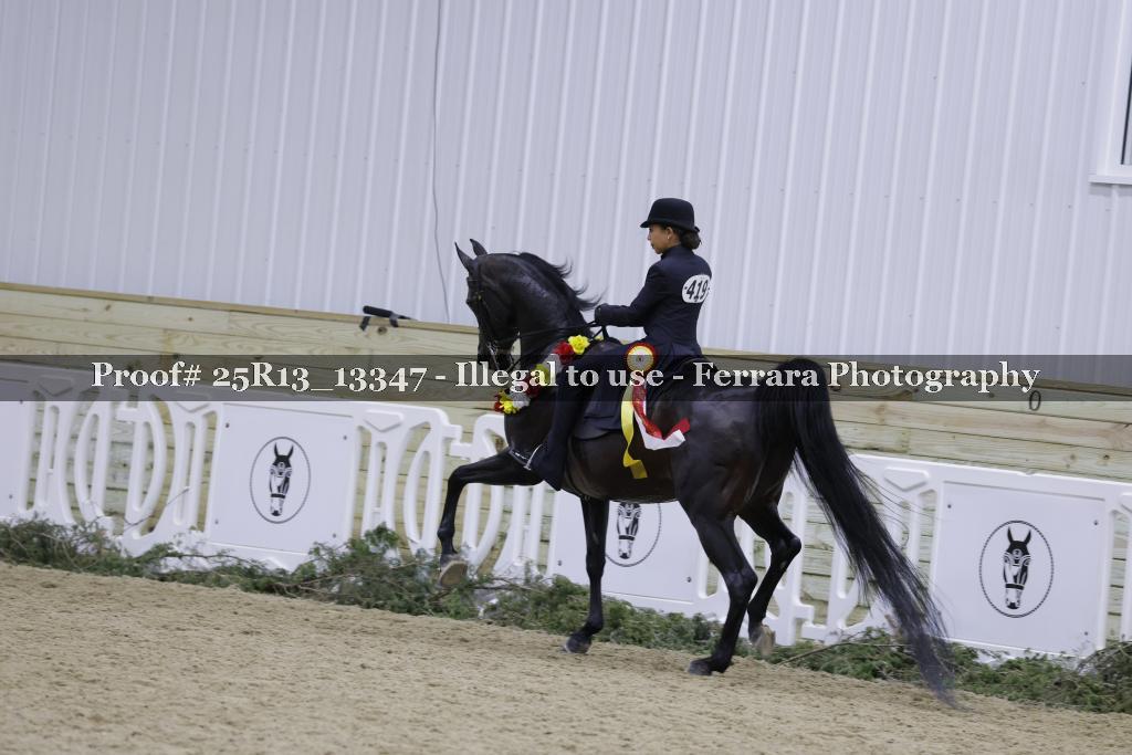 Proof 25R13_13347