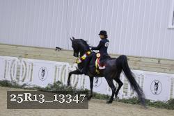 25R13_13347 proof