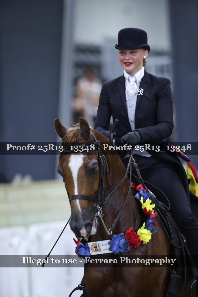 Proof 25R13_13348