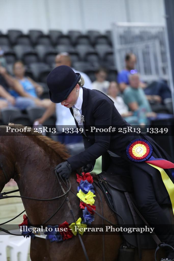Proof 25R13_13349